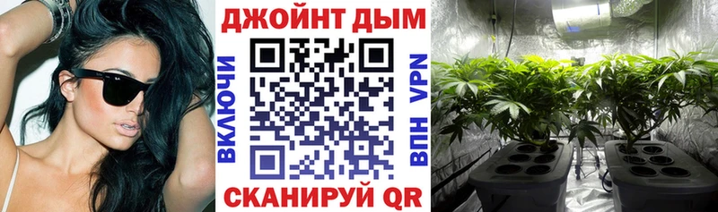 Купить где  Белёв  Бошки Шишки ГИДРОПОН 